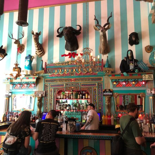 Colorful bar interior with taxidermy animals on the walls, vibrant decor, and patrons enjoying drinks at the counter.