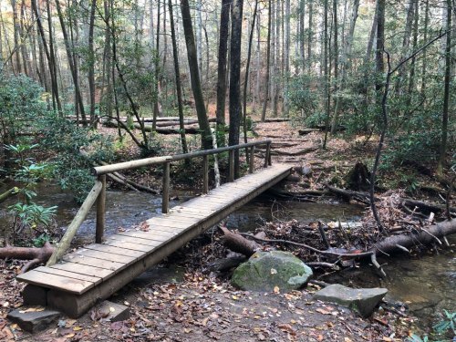 A wooden bridge crosses a small stream in a serene forest, surrounded by trees and fallen branches.