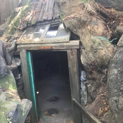 A low wooden door set into a moss-covered hillside, framed by rocks and tree roots, with a sign reading "LOW DOOR."