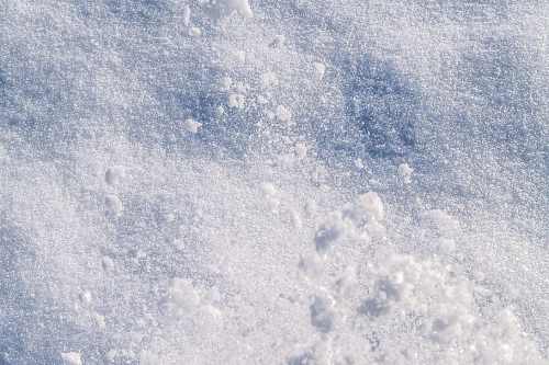 Close-up of sparkling snow with a soft, textured surface and scattered snowflakes glistening in the light.