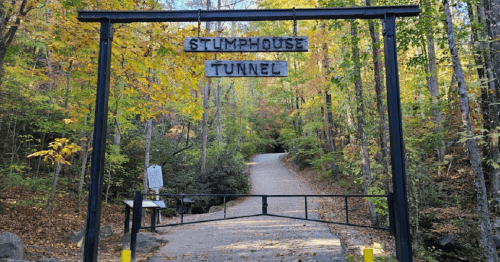 Entrance to Stumphouse Tunnel, surrounded by colorful autumn foliage and a gravel path leading into the woods.