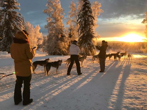 Two people stand with a group of dogs in a snowy landscape at sunset, surrounded by trees and a golden sky.