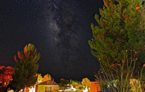 A starry night sky filled with the Milky Way, framed by trees and illuminated buildings below.