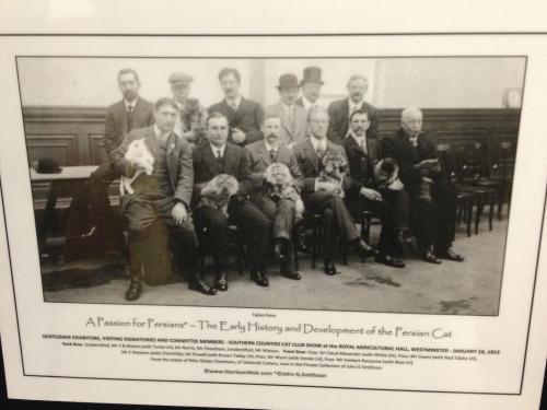 Group portrait of men in formal attire, some with dogs, at a cat show in 1913, showcasing Persian cats' history.