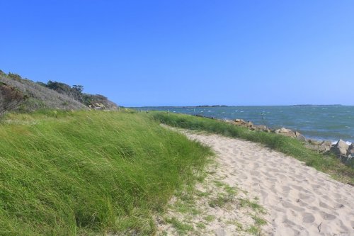 A sandy path lined with tall grass leads to a calm sea under a clear blue sky.