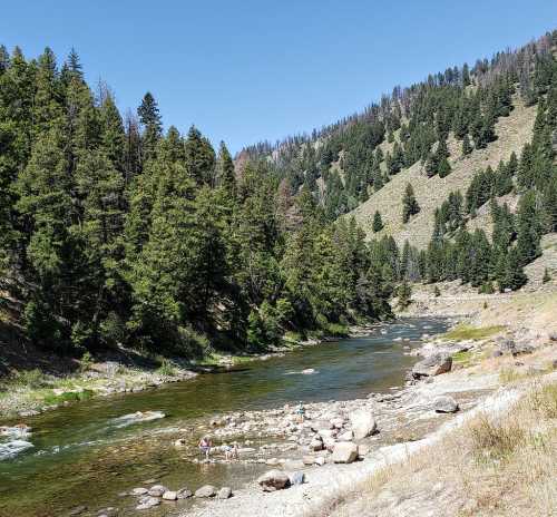 A serene river flows through a forested landscape, with people wading in the water under a clear blue sky.