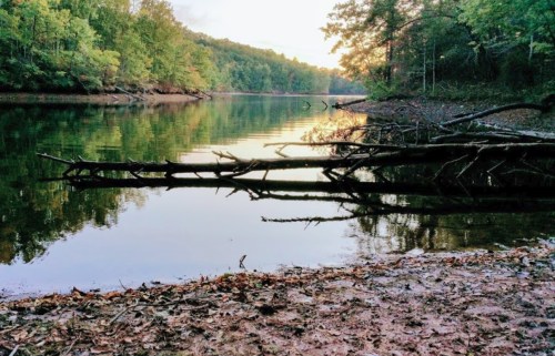 A serene river scene with trees lining the banks and fallen branches reflected in the calm water at sunset.