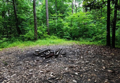 A cleared area in a lush green forest with a small fire pit surrounded by scattered leaves and logs.