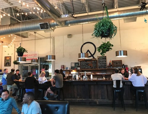 A lively bar scene with patrons seated at the counter, plants hanging above, and warm lighting in a modern space.