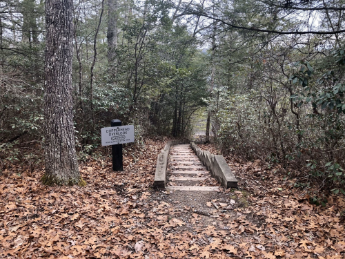 A wooden staircase leads through a forested area, with fallen leaves and a sign for Copperfield Trail nearby.