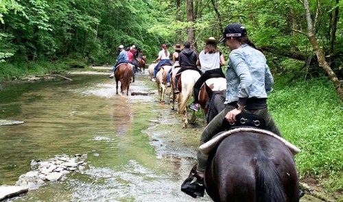 A group of people riding horses through a shallow stream in a lush, green forest.