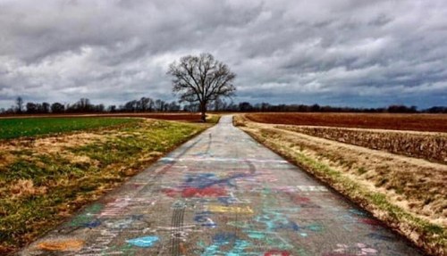 A winding path through fields under a cloudy sky, with colorful chalk drawings on the pavement and a lone tree in the distance.