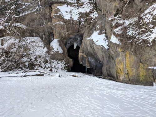 A snowy landscape featuring a rocky cave entrance surrounded by snow-covered ground and trees.