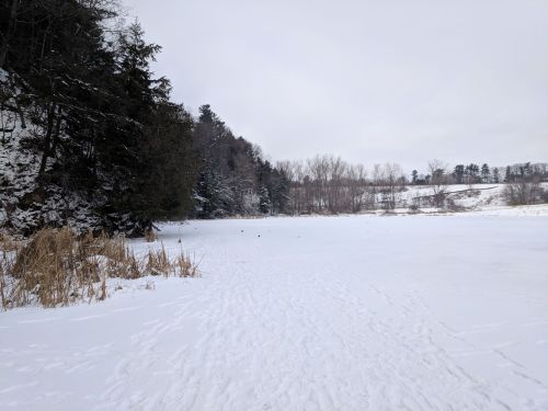 A snowy landscape with a frozen lake, surrounded by trees and distant hills under a gray sky.