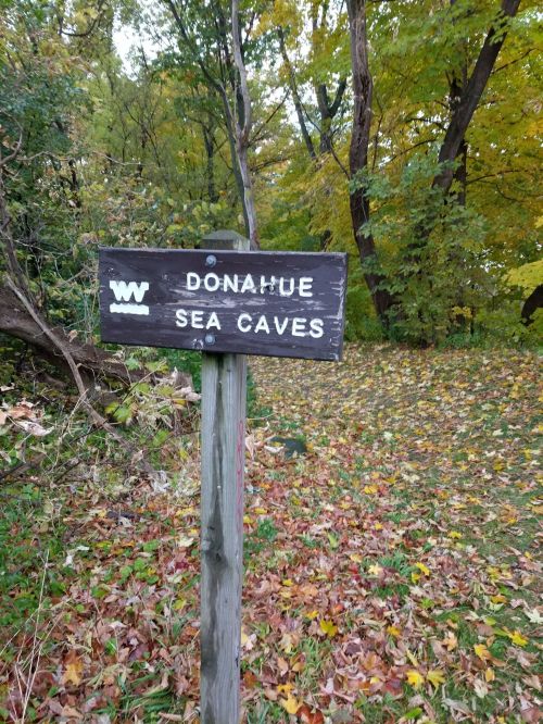 Sign for Donahue Sea Caves surrounded by autumn foliage and fallen leaves.