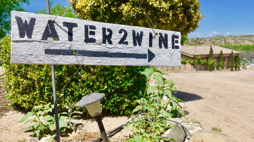 A wooden sign reading "WATER2WINE" with an arrow, surrounded by greenery and a clear blue sky.