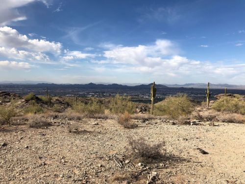 A desert landscape with cacti, rocky terrain, and distant mountains under a partly cloudy sky.