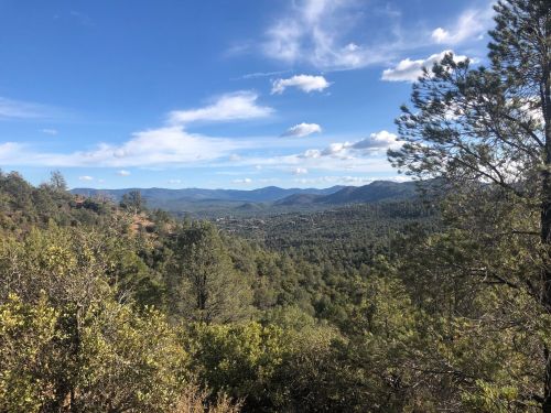 A scenic view of rolling hills and valleys under a blue sky with scattered clouds, surrounded by pine trees.