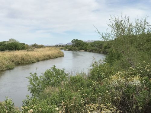 A serene river flows through lush greenery and tall grasses under a cloudy sky, with distant mountains in the background.