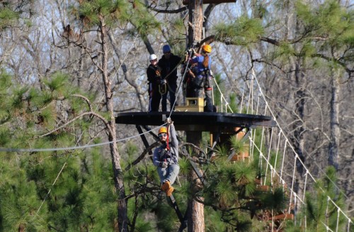 A group of people in safety gear on a tree platform, with one person zip-lining down from the platform.