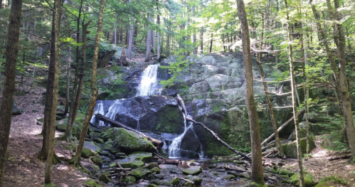 A serene waterfall cascades over rocks in a lush green forest, surrounded by trees and mossy stones.