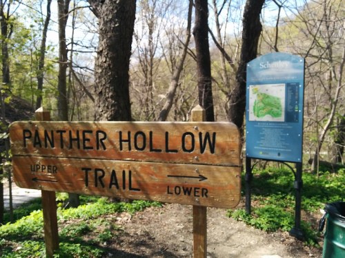 Wooden sign for Panther Hollow Trail with directional arrows, surrounded by trees and a trail map nearby.