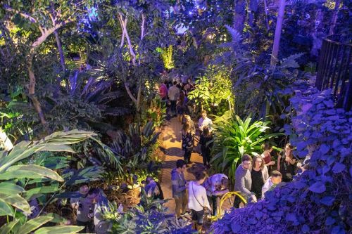 A vibrant indoor garden filled with lush plants and people mingling along a winding path under colorful lights.