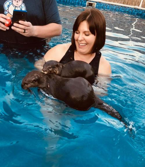 A woman smiles in a pool while holding two playful otters.
