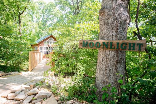 A wooden sign reading "Moonlight" next to a path leading to a cozy cabin surrounded by lush greenery.