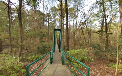 A green pedestrian bridge surrounded by trees and foliage in a wooded area.