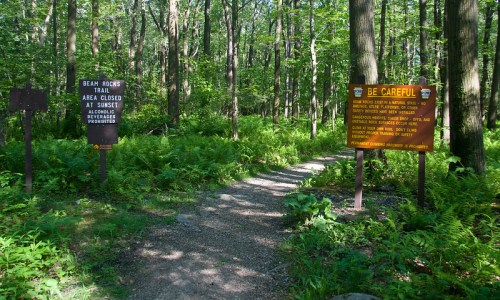 Two signs at a forest trailhead: one warns of trail closure at sunset, the other advises caution for hikers. Lush greenery surrounds.