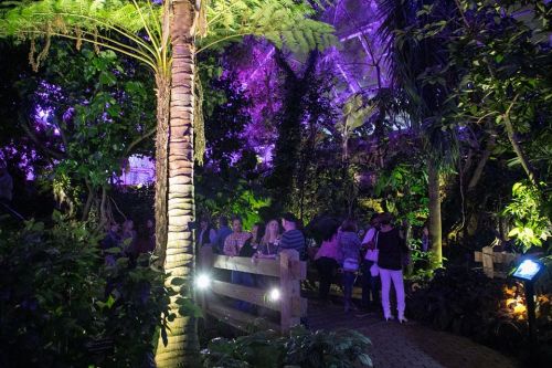 A lush, vibrant indoor garden with purple lighting, featuring people gathered on a wooden bridge surrounded by greenery.