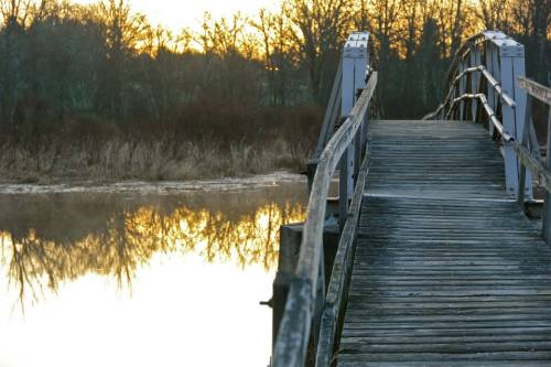 A wooden bridge over a calm river at sunrise, surrounded by trees and soft reflections on the water.