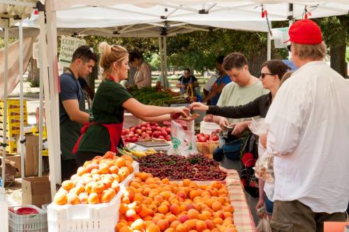 A bustling farmers market with vendors selling fresh fruits and customers interacting at various stalls.