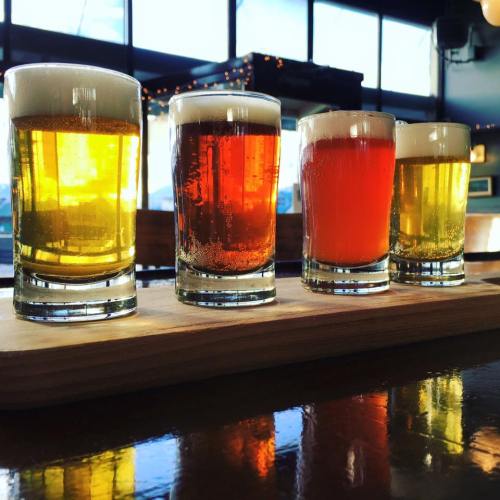 A wooden flight board holds four glasses of different beers, showcasing a range of colors and bubbles.