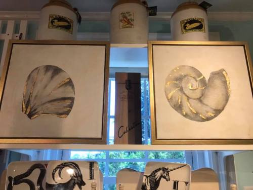 Two framed artworks of seashells with gold accents, displayed on a shelf with jars in the background.