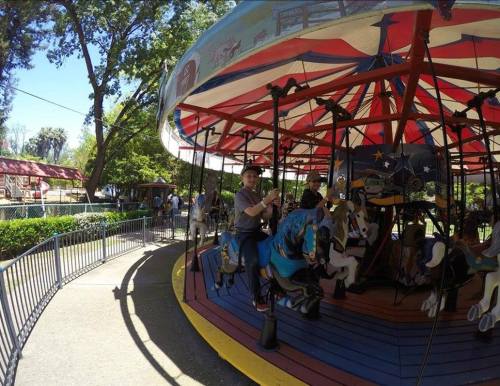 A carousel with colorful horses, featuring a person riding on one, surrounded by trees and a park setting.