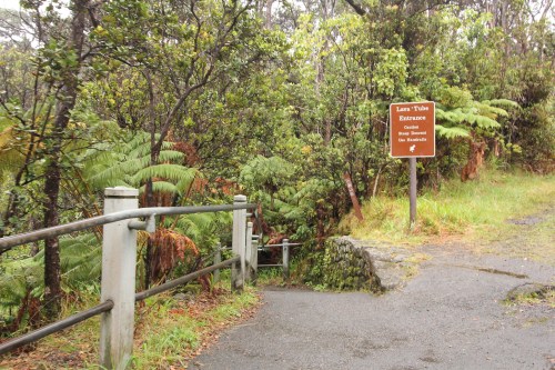A pathway leading to a sign for the Lava Tube Entrance, surrounded by lush greenery and ferns.
