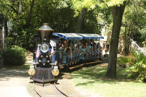 A vintage train with passengers rides along a track surrounded by greenery and trees.