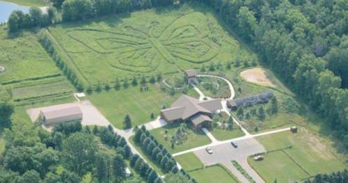 Aerial view of a butterfly-shaped maze in a green field, with a building and parking area nearby.