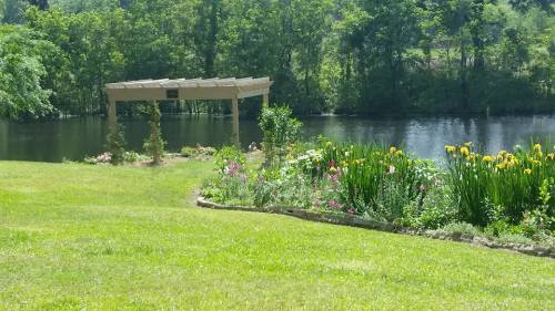 A serene landscape featuring a pond, lush greenery, and a flower garden with a wooden pergola in the background.