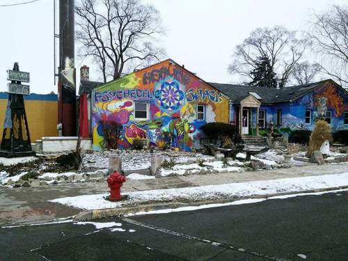 Colorful mural on a building featuring vibrant designs, with snow on the ground and a fire hydrant in the foreground.
