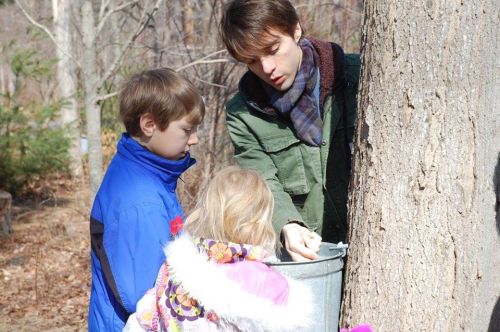 A man helps two children collect sap from a tree using a bucket in a wooded area during winter.