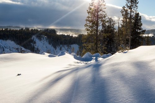 A snowy landscape with gentle hills, tall trees, and sunlight filtering through clouds in the background.