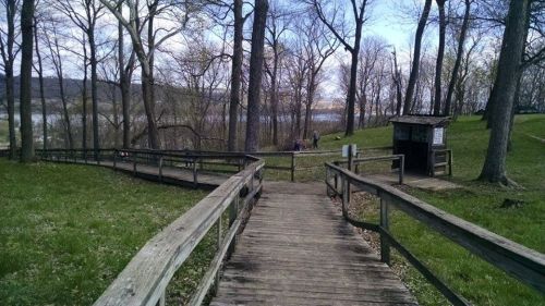 A wooden walkway leads through a park with trees, overlooking a body of water in the distance.
