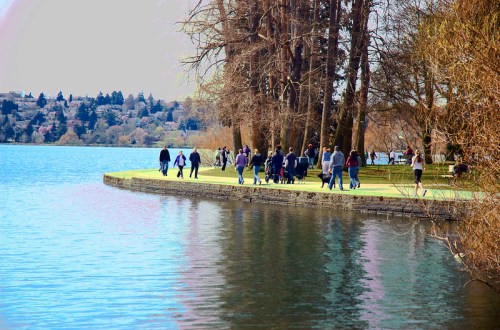 People walking along a lakeside path, surrounded by trees and reflecting water on a sunny day.