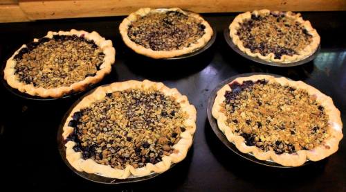 Five freshly baked pies with crumbly oat topping, sitting on a dark countertop.