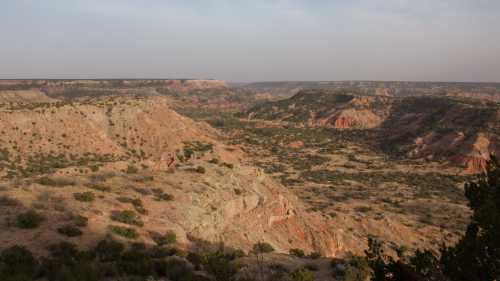 A vast canyon landscape with layered rock formations and sparse vegetation under a hazy sky.