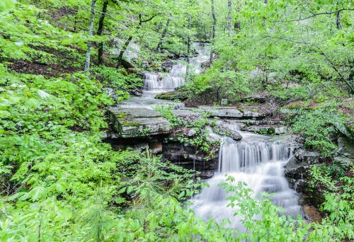 A serene forest scene featuring cascading waterfalls surrounded by lush green foliage.