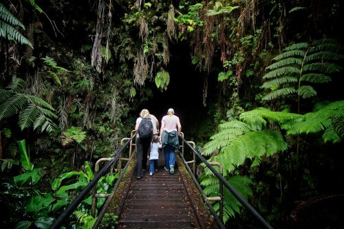 A family walks along a wooden path into a lush, green forest with ferns and a dark cave entrance ahead.